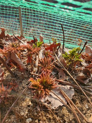 귀산촌님의 자유주제 · 사진전 작성글 사진