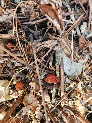 귀산촌님의 자유주제 · 사진전 작성글 사진