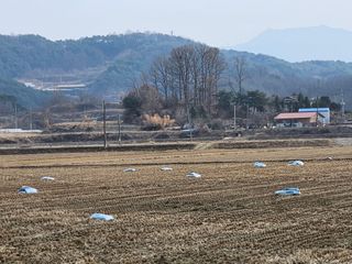 소백산오가피님의 자유주제 · 사진전 작성글 사진