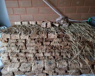 김경순님의 자유주제 · 사진전 작성글 사진