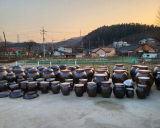 김경순님의 자유주제 · 사진전 작성글 사진