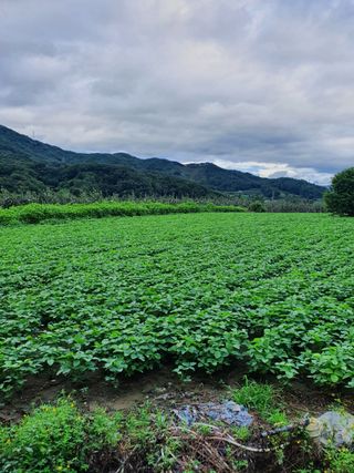 김경순님의 자유주제 · 사진전 작성글 사진