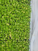 팜모닝 자유주제·자유게시판 게시글 이미지