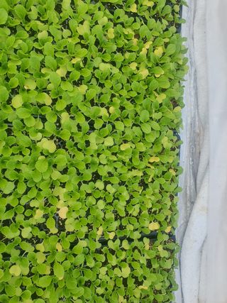 강태민님의 자유주제 · 자유게시판 작성글 사진