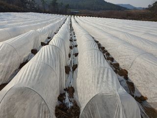 강태민님의 자유주제 · 자유게시판 작성글 사진