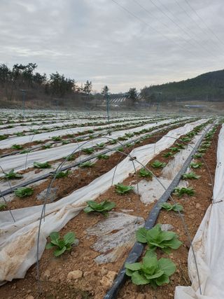 강태민님의 자유주제 · 자유게시판 작성글 사진