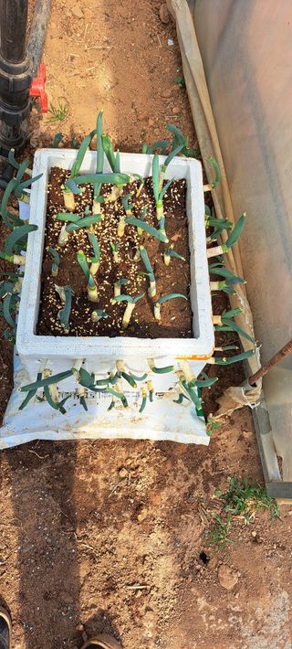 이상신님의 자유주제 · 사진전 작성글 사진