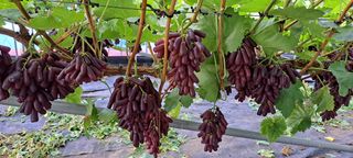 이상신님의 자유주제 · 사진전 작성글 사진