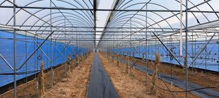 이상신님의 자유주제 · 사진전 작성글 사진