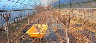 이상신님의 자유주제 · 사진전 작성글 사진