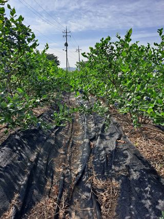 이재국님의 자유주제 · 사진전 작성글 사진