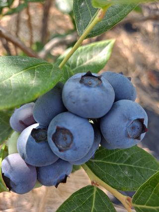 이재국님의 자유주제 · 사진전 작성글 사진