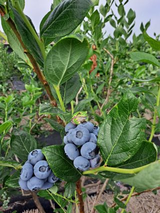 이재국님의 자유주제 · 사진전 작성글 사진