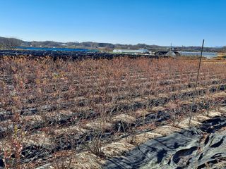 이재국님의 자유주제 · 사진전 작성글 사진