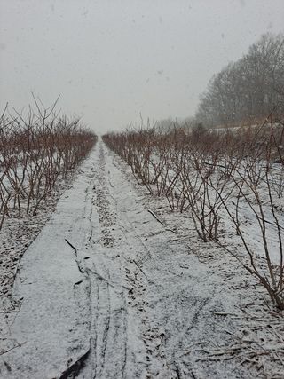 이재국님의 자유주제 · 사진전 작성글 사진