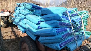 알 수 없음님의 감 · 자유게시판 작성글 사진