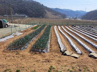 임후남님의 자유주제 · 사진전 작성글 사진