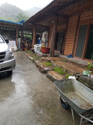 윤미선(농경채인증님의 기타작물 · 자유게시판 작성글 사진