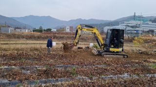 행복한나무농장님의 작성글 사진