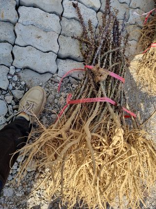 행복한나무농장님의 작성글 사진