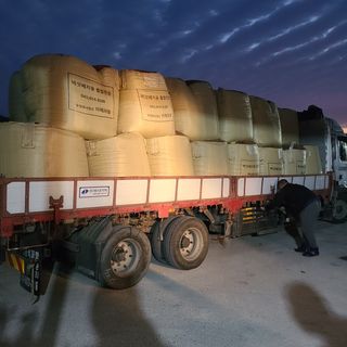 버섯왕자님의 자유주제 · 자유게시판 작성글 사진