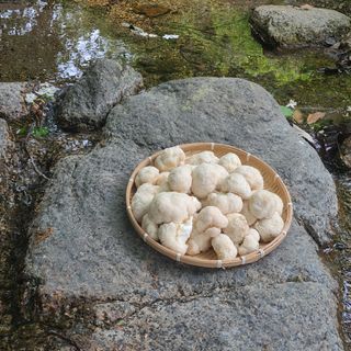 버섯왕자님의 자유주제 · 자유게시판 작성글 사진