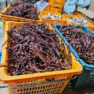 버섯왕자님의 자유주제 · 자유게시판 작성글 사진