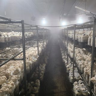 버섯왕자님의 자유주제 · 자유게시판 작성글 사진