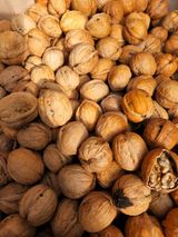 팜모닝 감·자유게시판 게시글 이미지