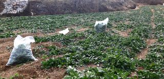 푸른오이님의 자유주제 · 사진전 작성글 사진