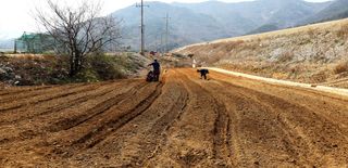 푸른오이님의 자유주제 · 사진전 작성글 사진