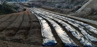 푸른오이님의 자유주제 · 사진전 작성글 사진