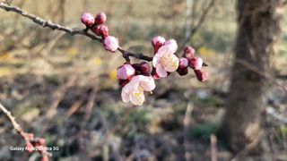 임병로님의 자유주제 · 사진전 작성글 사진