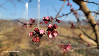 임병로님의 자유주제 · 사진전 작성글 사진