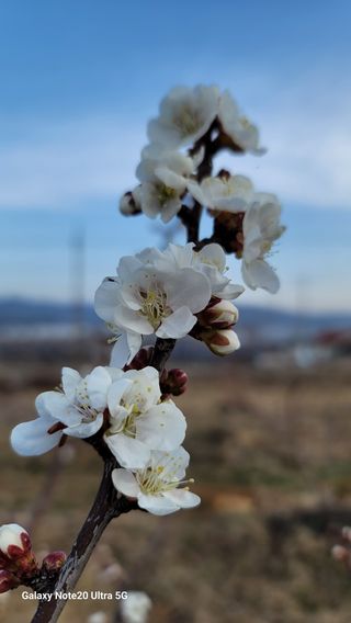 임병로님의 자유주제 · 사진전 작성글 사진