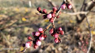 임병로님의 자유주제 · 사진전 작성글 사진