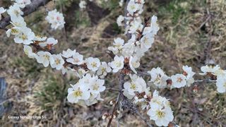 임병로님의 자유주제 · 사진전 작성글 사진