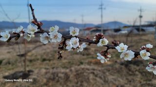 임병로님의 자유주제 · 사진전 작성글 사진