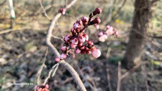 임병로님의 자유주제 · 사진전 작성글 사진