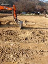 팜모닝 자유주제·자유게시판 게시글 이미지