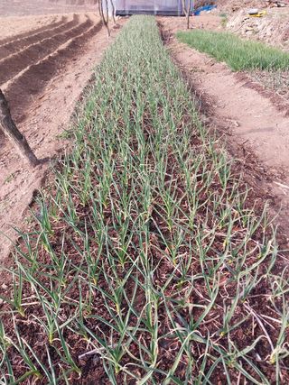 윤홍규님의 자유주제 · 자유게시판 작성글 사진