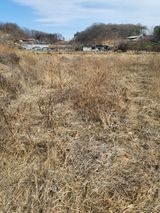 팜모닝 자유주제·사진전 게시글 이미지