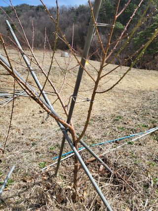 봄봄농장님의 자유주제 · 사진전 작성글 사진