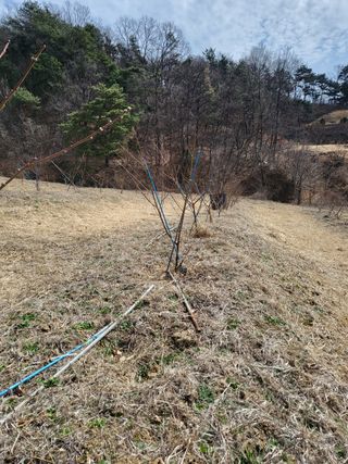 봄봄농장님의 자유주제 · 사진전 작성글 사진