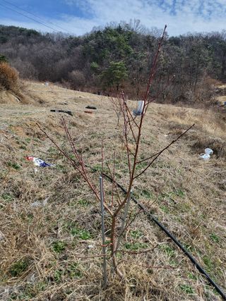봄봄농장님의 자유주제 · 사진전 작성글 사진