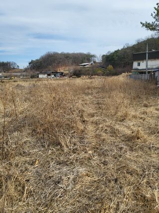 봄봄농장님의 자유주제 · 사진전 작성글 사진