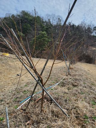 봄봄농장님의 자유주제 · 사진전 작성글 사진