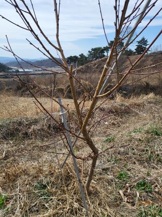 봄봄농장님의 자유주제 · 사진전 작성글 사진