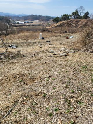 봄봄농장님의 자유주제 · 사진전 작성글 사진