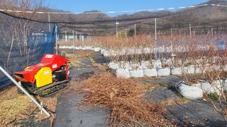 최경출님의 블루베리 · 자유게시판 작성글 사진